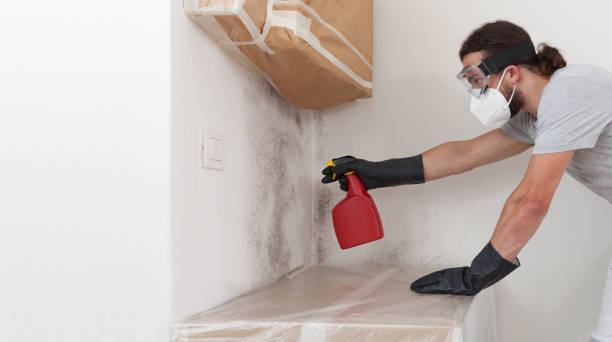 Professional Bathroom Mold Removal technician working in Ellenton, FL
